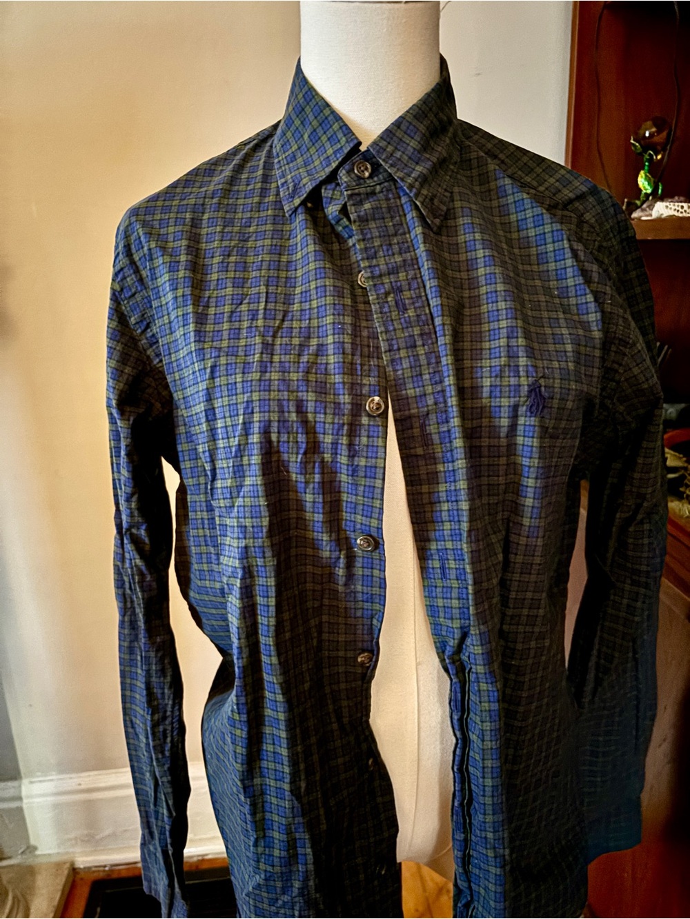Polo by Ralph Lauren Blue and Green Plaid Button-Down Shirt